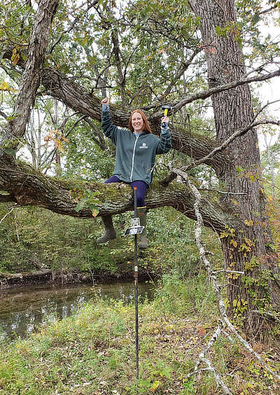 Rachel Johnson perched on a tree limb during an monitoring station installation.