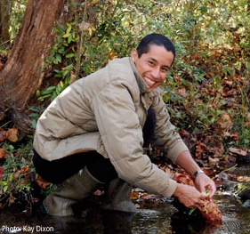 Rafa Morales places an artifical leaf pack in a stream.