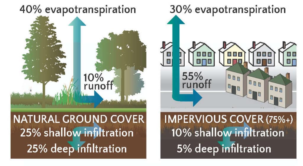 Diagram showing that much more rainwater sinks into the ground under trees and plants than in developed areas with impervious surfaces like asphalt.