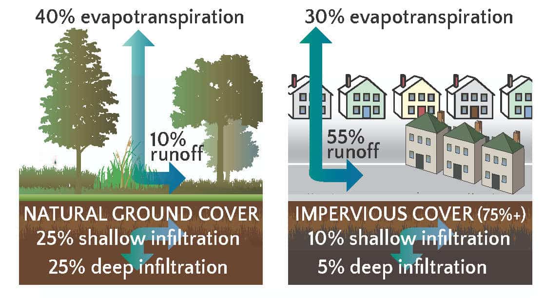 Small Actions at Home Can Make a Big Difference in Watershed Health