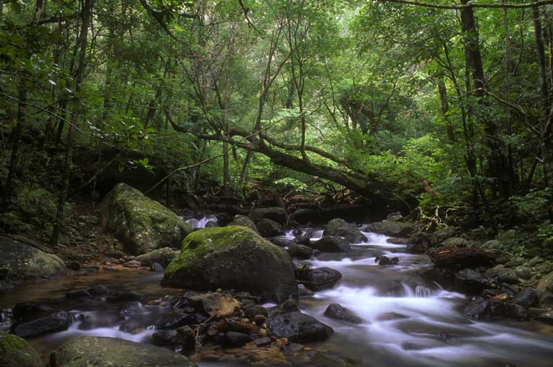 Photo of Rio Cacao, Costa Rica, by Mayra Stroud