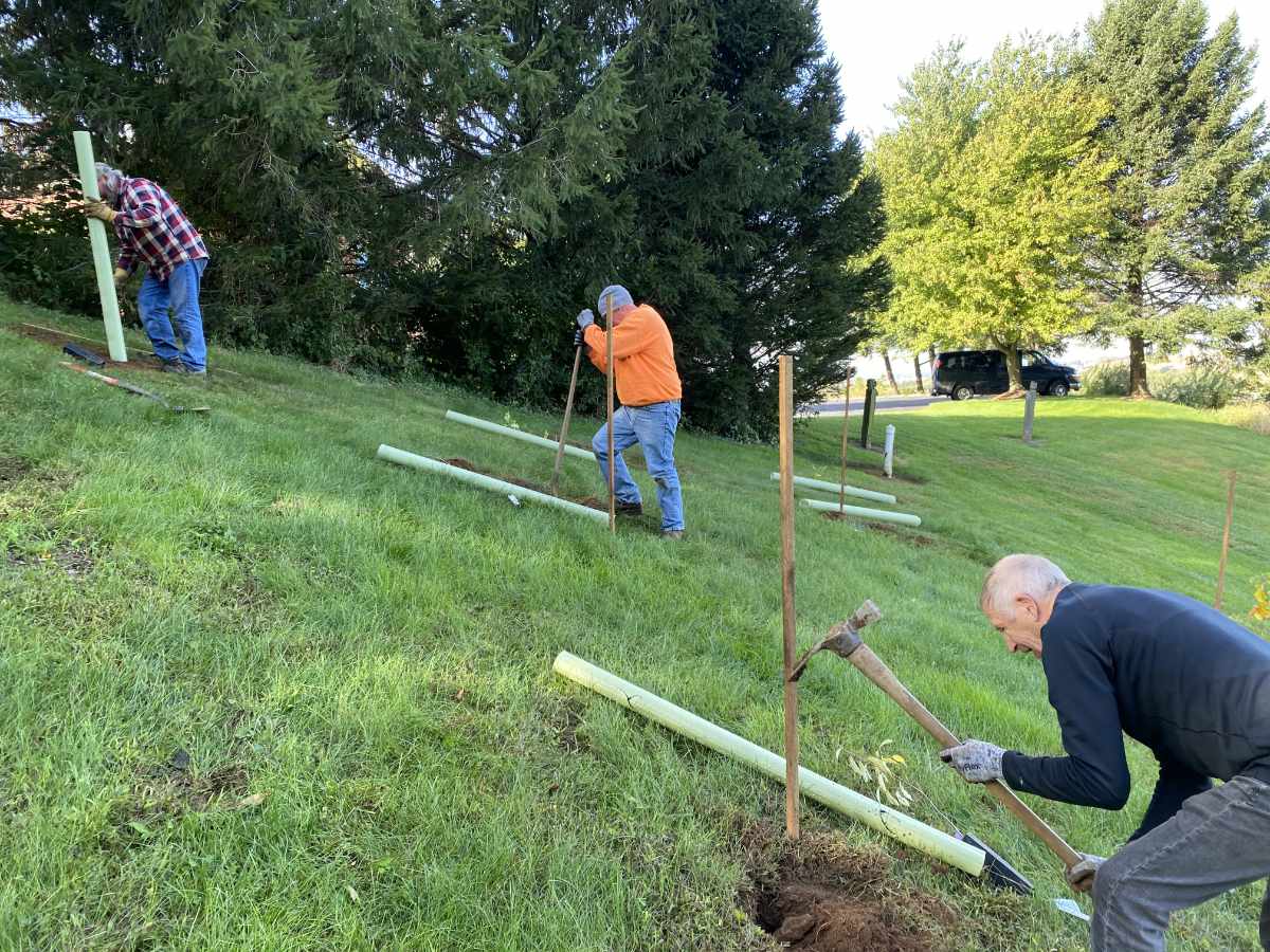 Three church volunteers dig holes to plant trees on a slope near a stream.