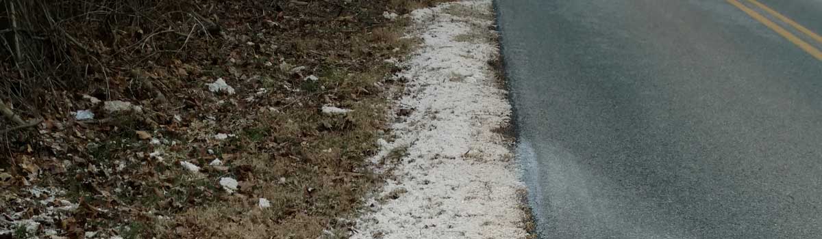 Road Salt in Streams