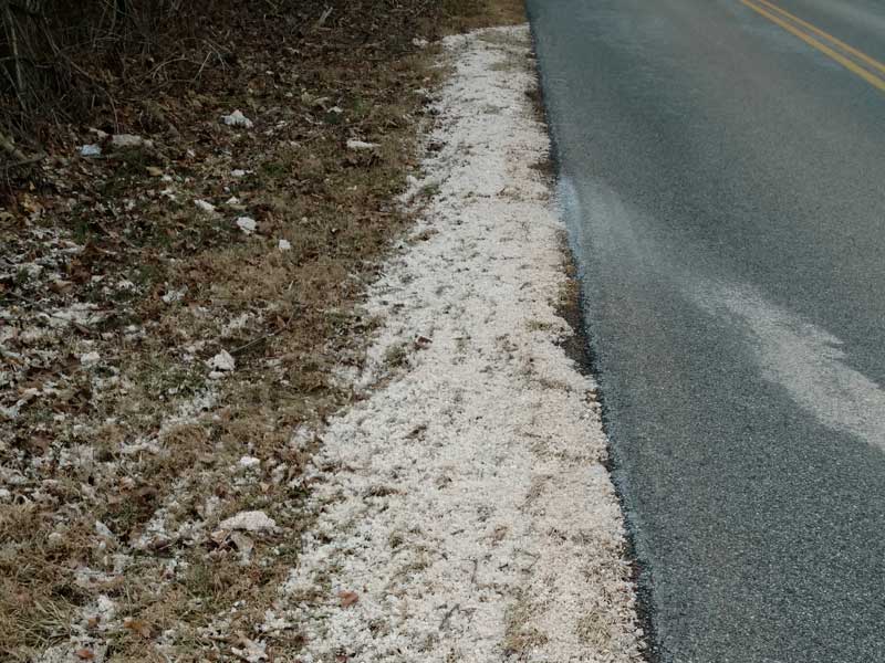 Stroud Science on NPR: Road Salt Boosts Safety But Threatens Fresh Water