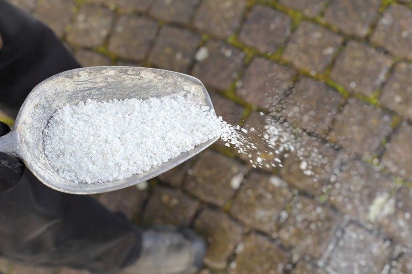 A metal scoop full of road salt being sprinkled on pavement.