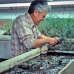 Archival photo of Robin L. Vannote, Ph.D., working at an indoor stream flume.