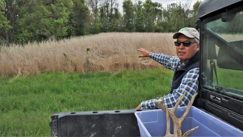 Roger Rohrer points out a planting of switchgrass on a steep section of his farm.