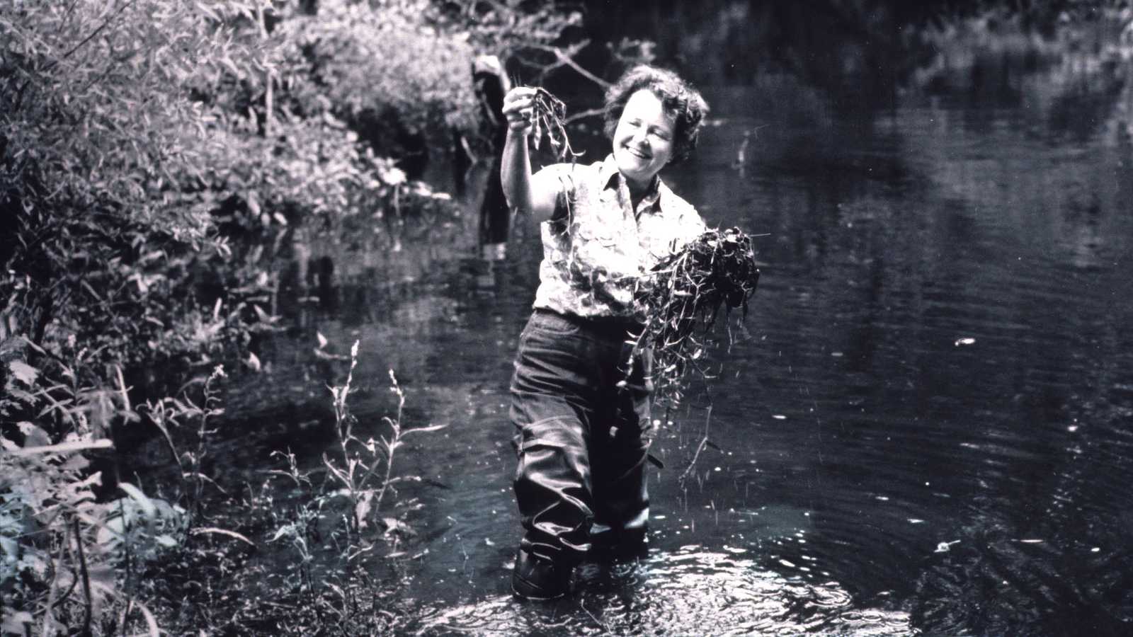 Ruth Patrick wading in a stream.