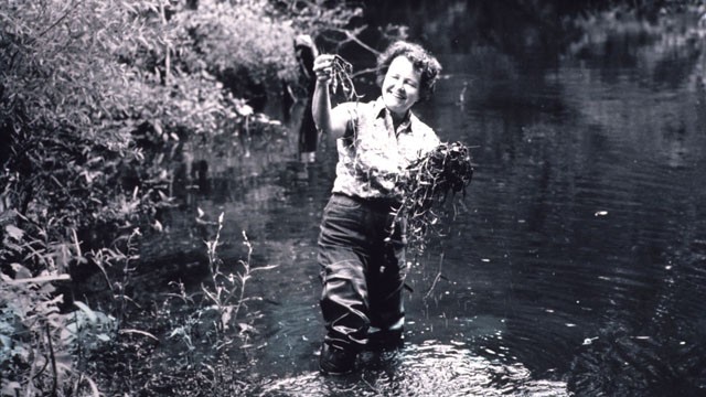 Ruth Patrick in a stream holding clumps of aquatic plants.