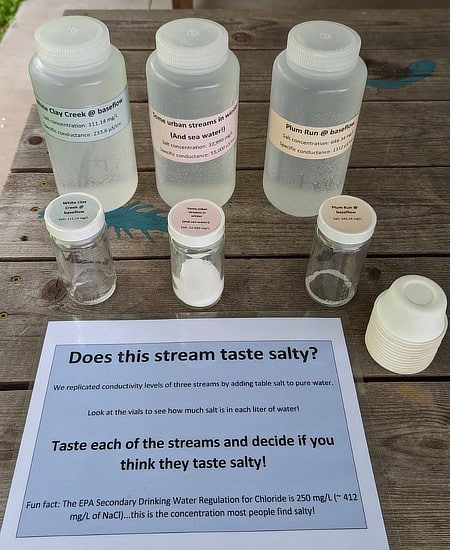 A taste test replicating salt levels in streams.