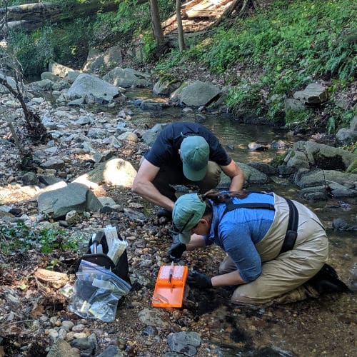 Two scientists collect rock biofilm and sediment samples from a stream in Rock Creek Park in Washington, D.C.