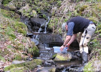 Sherman Roberts collecting rocks from the Neversink River.