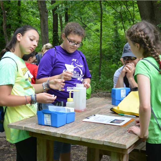 Sixth-grade students in the outdoor classroom