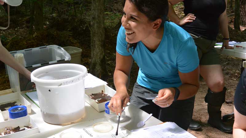 Woman sorting macroinvertebrates at a stream ecology workshop