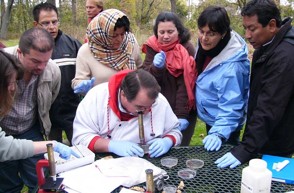 Spanish Leaf Pack Workshop participants identifying stream insects.