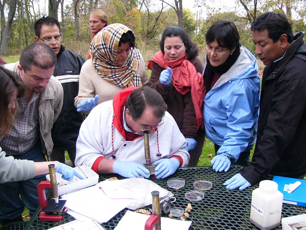 Spanish Leaf Pack Workshop participants identifying stream insects.