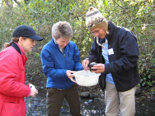 Spanish Leaf Pack Workshop participants collecting stream insects.