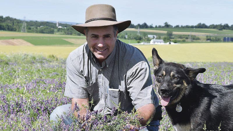 Steve Groff in a field cover cropped with hairy vetch.