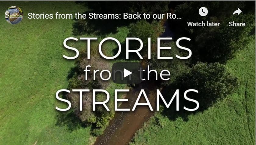 Stories From the Streams: Back to Our Roots