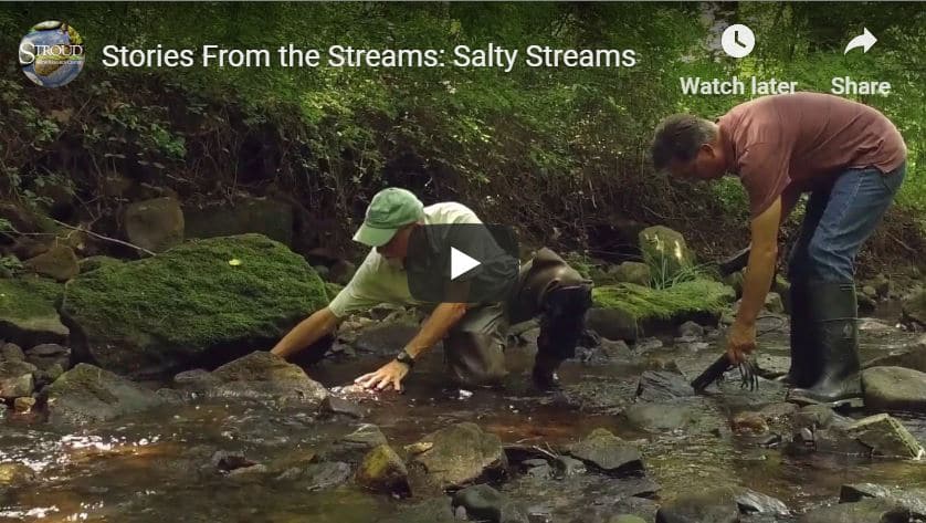 Video still from Episode 5 of the WHYY "Stories From the Streams" video series