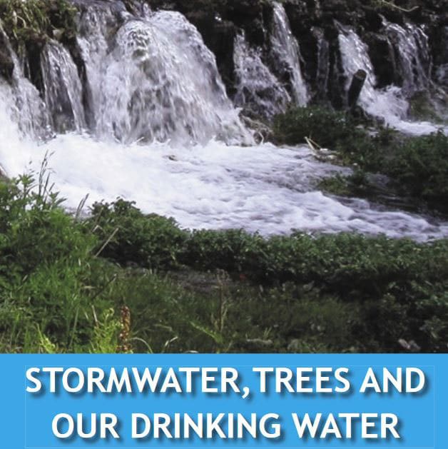 Photo of the Stormwater, Trees and Our Drinking Water brochure