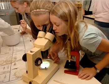 Two girls share a microscope to look at aquatic insects.