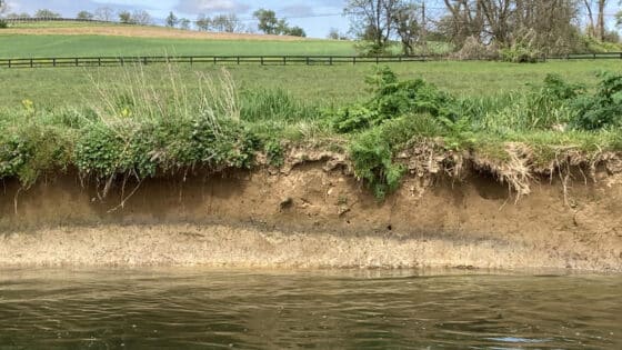 A streambank before riparian reforestation.