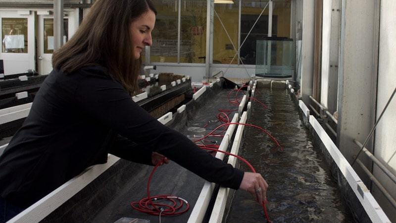 Photo of a woman placing a sensor in an indoor stream flume.