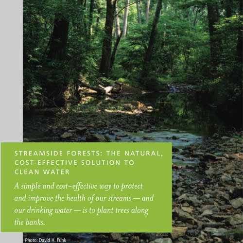 In Support of Streamside Forests: Understanding the Challenges and Becoming Part of the Solution