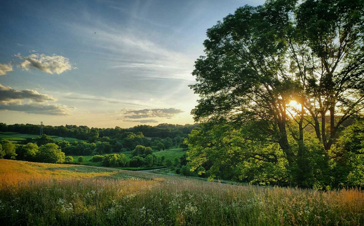 How Farming Practices Influence Water Quality and Soil Health