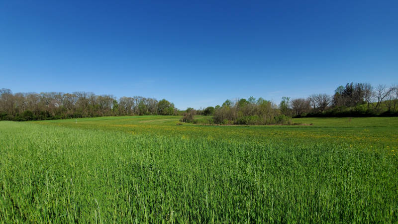 Agricultural fields at Stroud Preserve in May 2020.