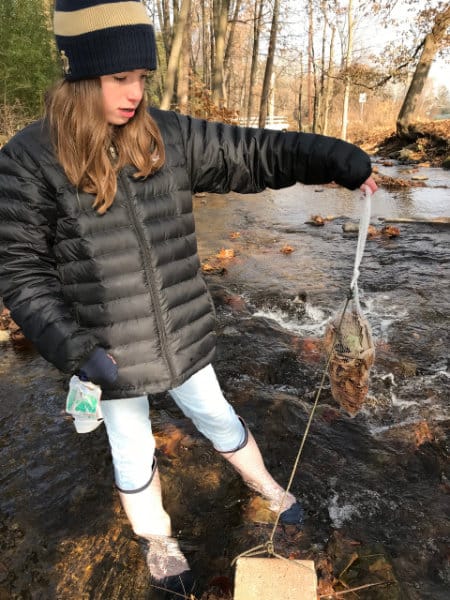 A student anchors an artificial leaf pack to a cinder block in the stream.