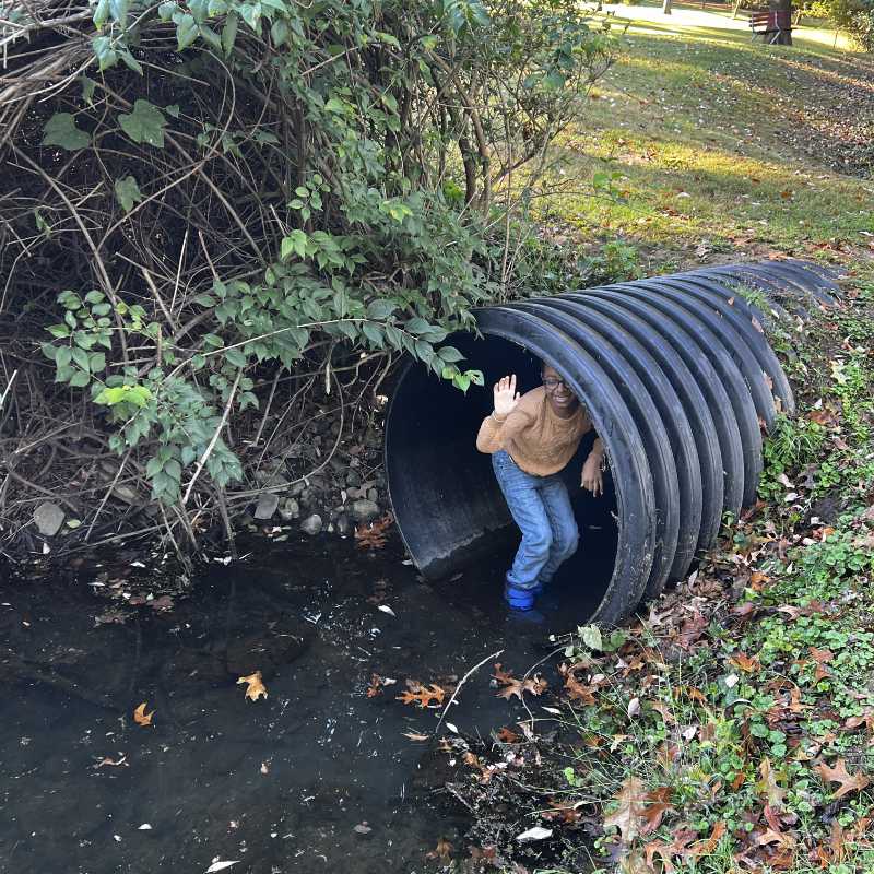 A young man steps into a culvert to take a stream salt sample.