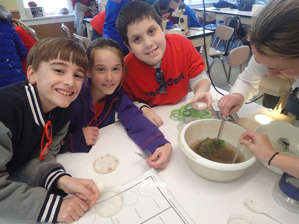 Students identifying macroinvertebrates