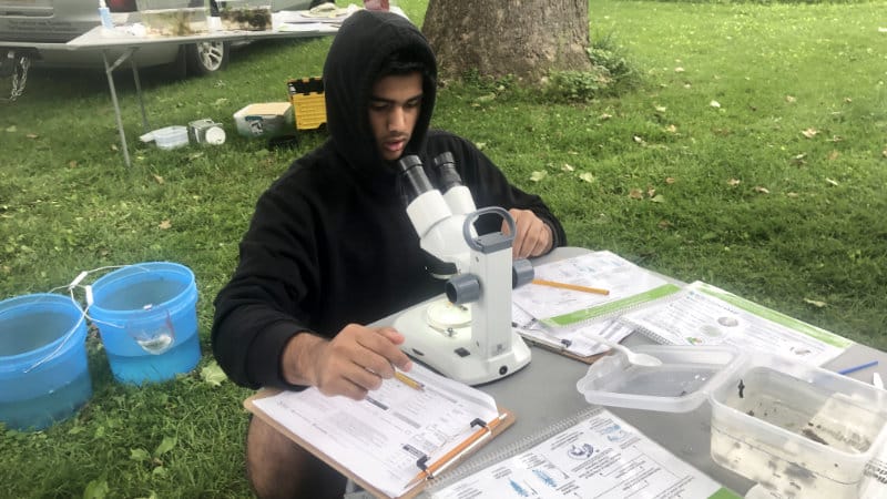 A student using a microscope to identify aquatic insects.