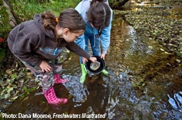 Two students collecting artificial leaf packs in a stream.