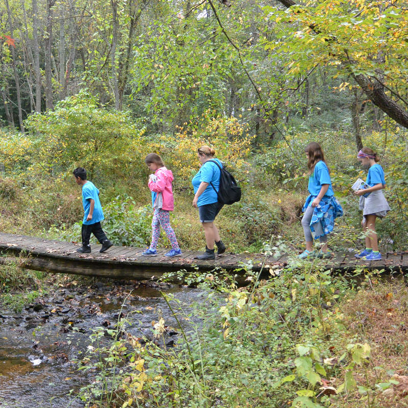 Four students and a teacher crossing a wooden bridge across a forested stream.