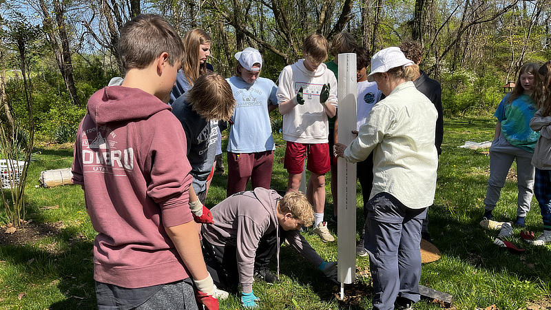 A group of students installs a tree shelter in the streamside buffer at their school.