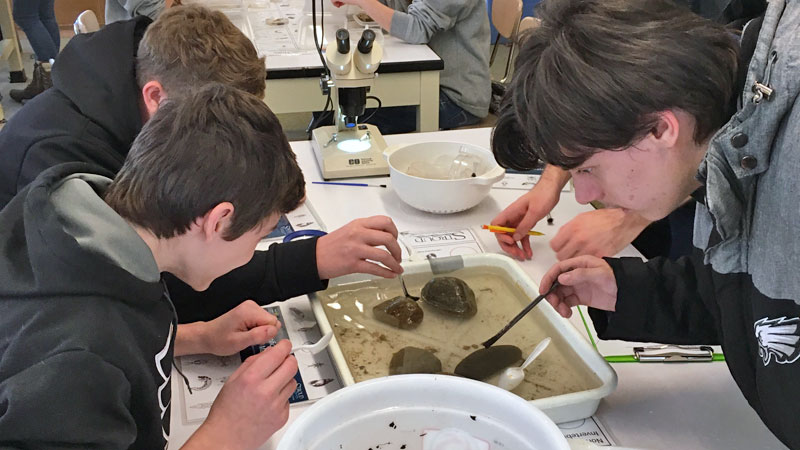 Three high school students examine rocks collected from a stream.