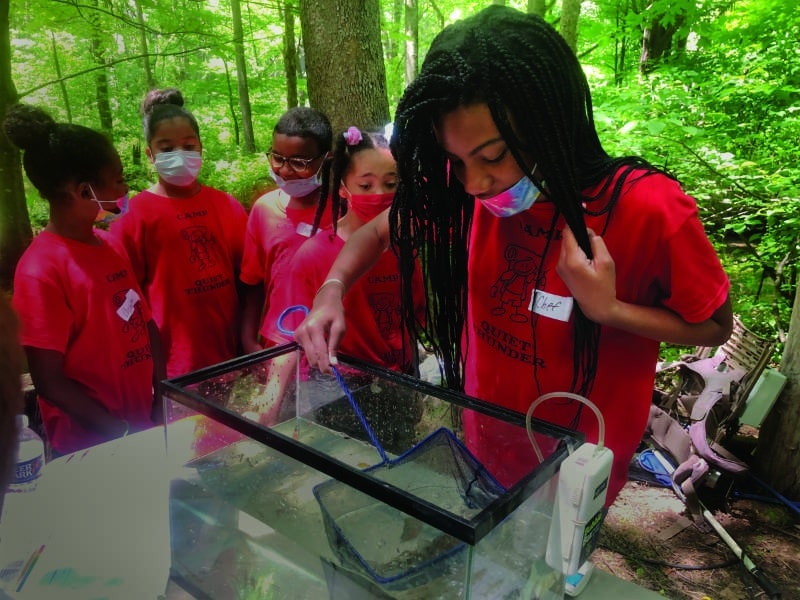 Students study fish temporarily removed from a nearby stream.