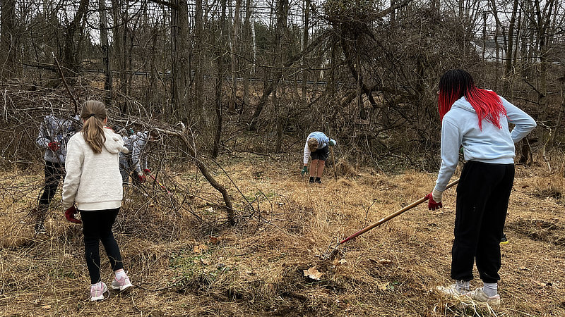 Five students clear invasive plants to plant a streamside forest.