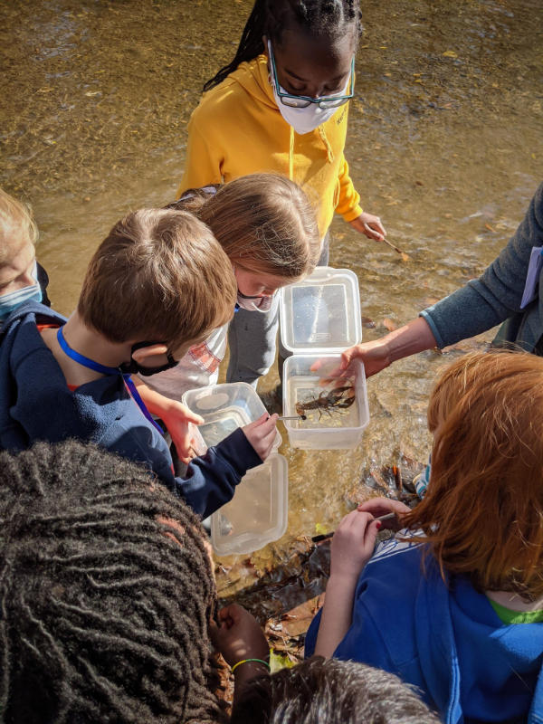 Students looking at a crayfish collected in a healthy stream.