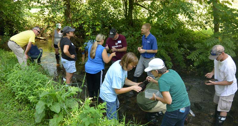 Photo of teacher workshop participants working in a stream