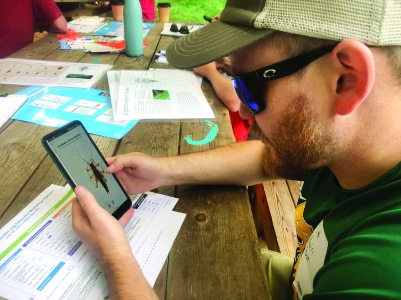 A teacher uses the Pocket Macros app to identify aquatic macroinvertebrates.
