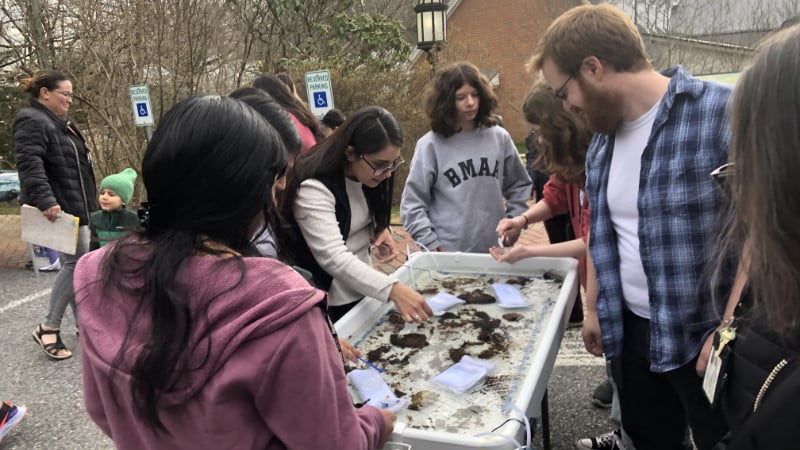 A group of teens investigate aquatic macroinvertebrates in the touch tank.