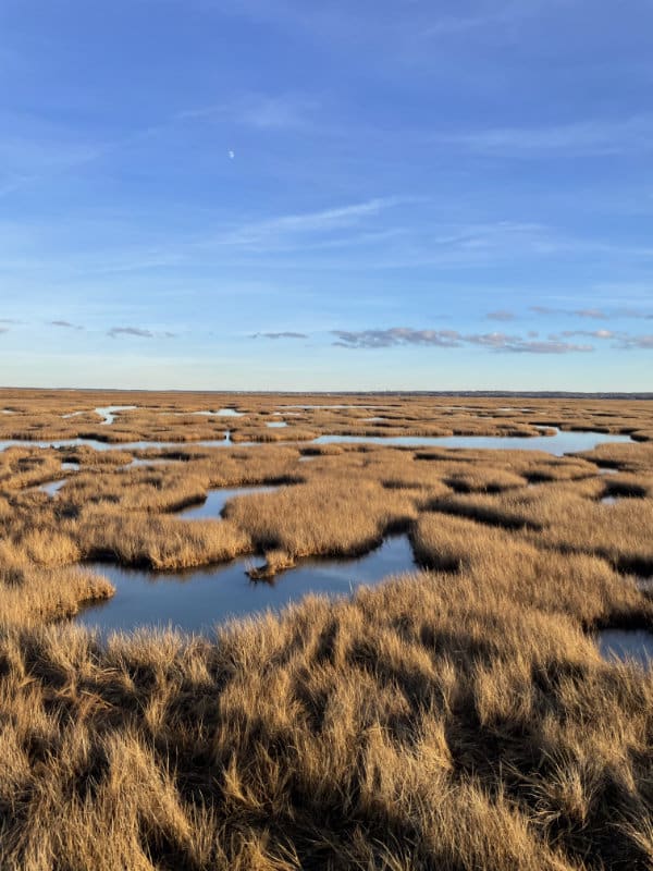 A salt marsh in Barnstable, Massachusetts, shows signs of erosion and drowning as the sea level rises.