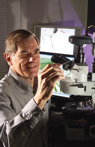 Stroud Center scientist Tom Bott working at a microscope