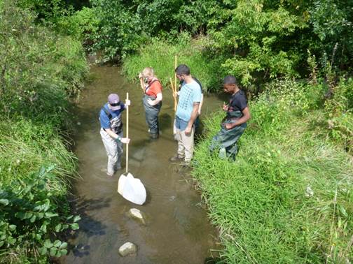 Four people sampling Tonquish Creek in Michigan.