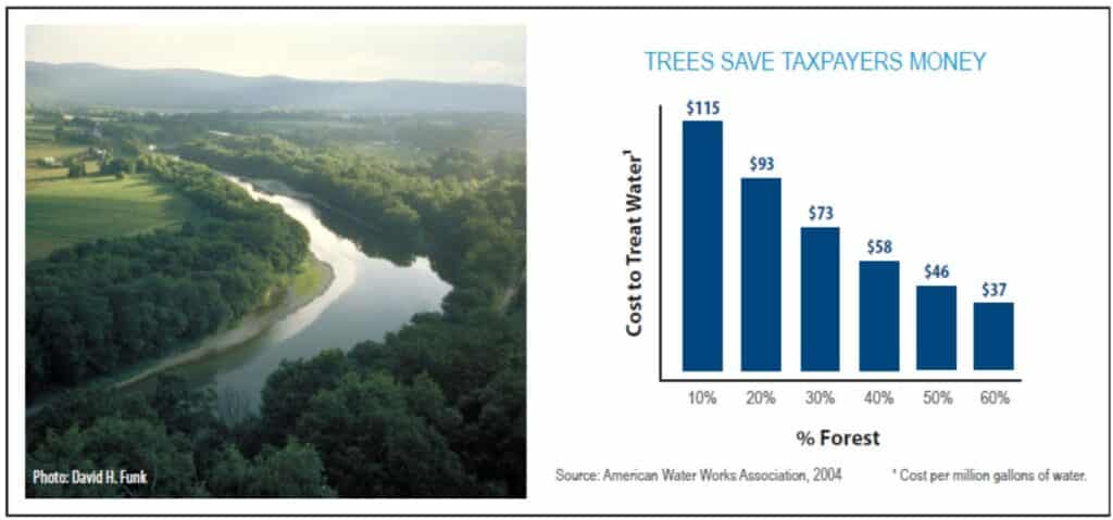 Trees save taxpayers money: cost to treat water decreases as the percent of forest in a watershed increases.