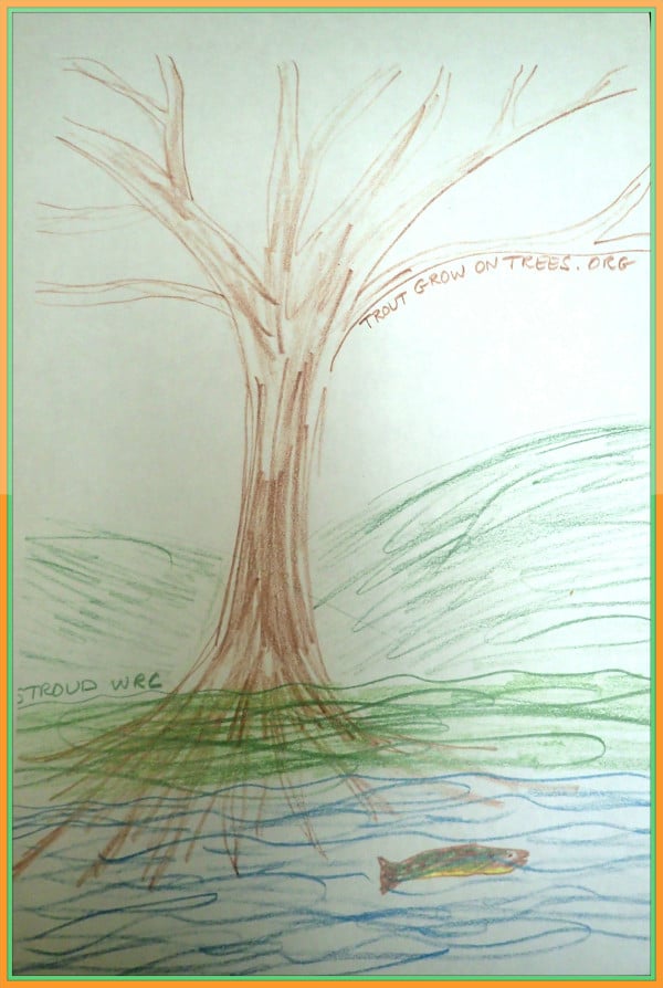 Drawing of a trout swimming near a tree